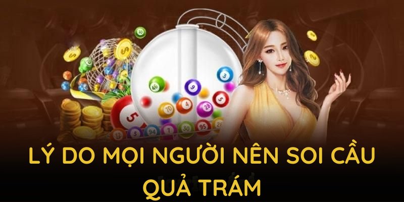 Lý do mọi người nên soi cầu quả trám từ góc độ thực tiễn đến kinh nghiệm
