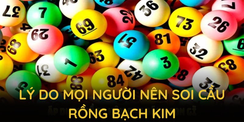 Lý do mọi người nên soi cầu rồng bạch kim tại nhà cái uy tín